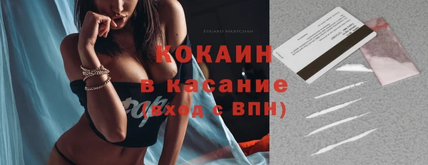 прущий лед Алзамай