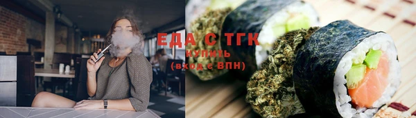 прущий лед Алзамай