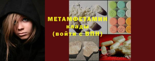 гидра Алексеевка