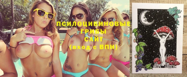 бутират Алексин
