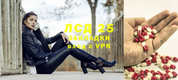 гидра Алексеевка