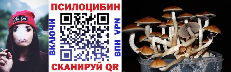 Галлюциногенные грибы мицелий Цивильск